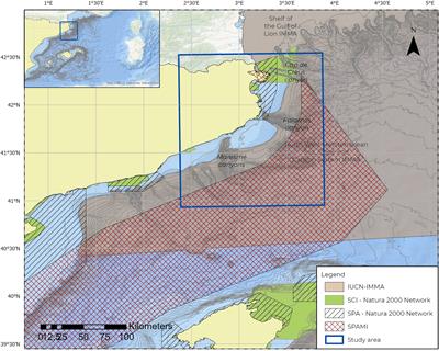 Submarine canyons as key habitats to preserve Risso’s dolphin (Grampus griseus) populations in the northwestern Mediterranean Sea